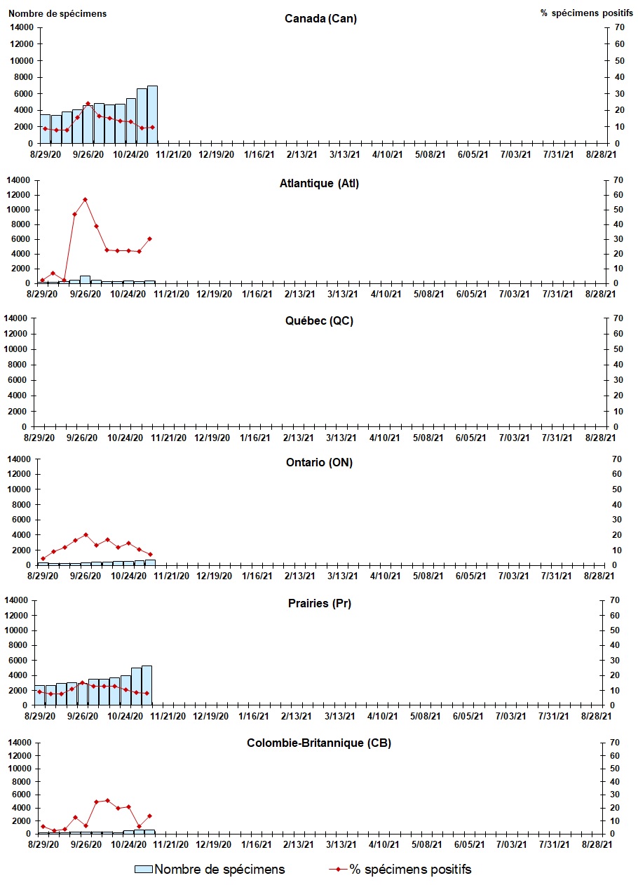 Figure 7. La version textuelle suit.