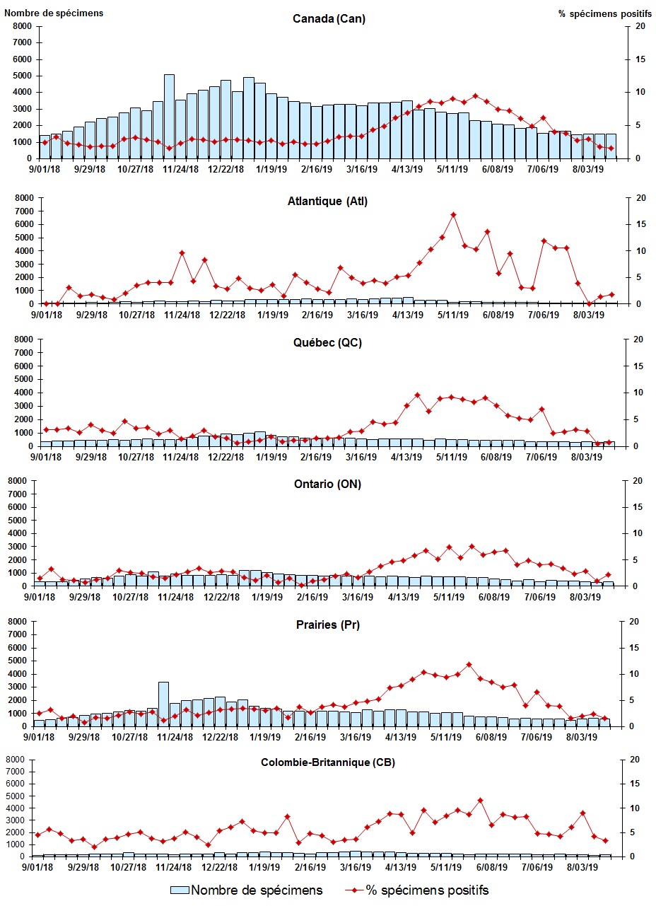 Figure 4. La version textuelle suit.