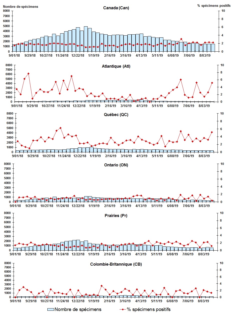 Figure 5. La version textuelle suit.
