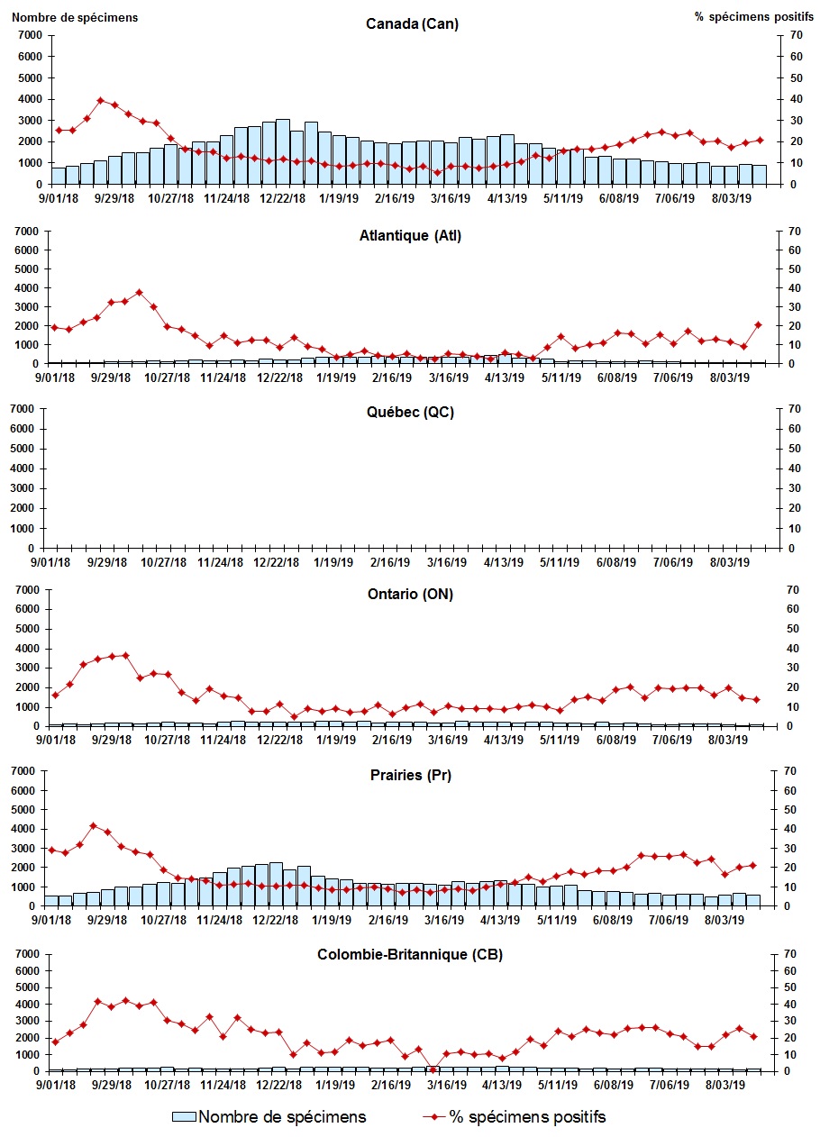 Figure 7. La version textuelle suit.