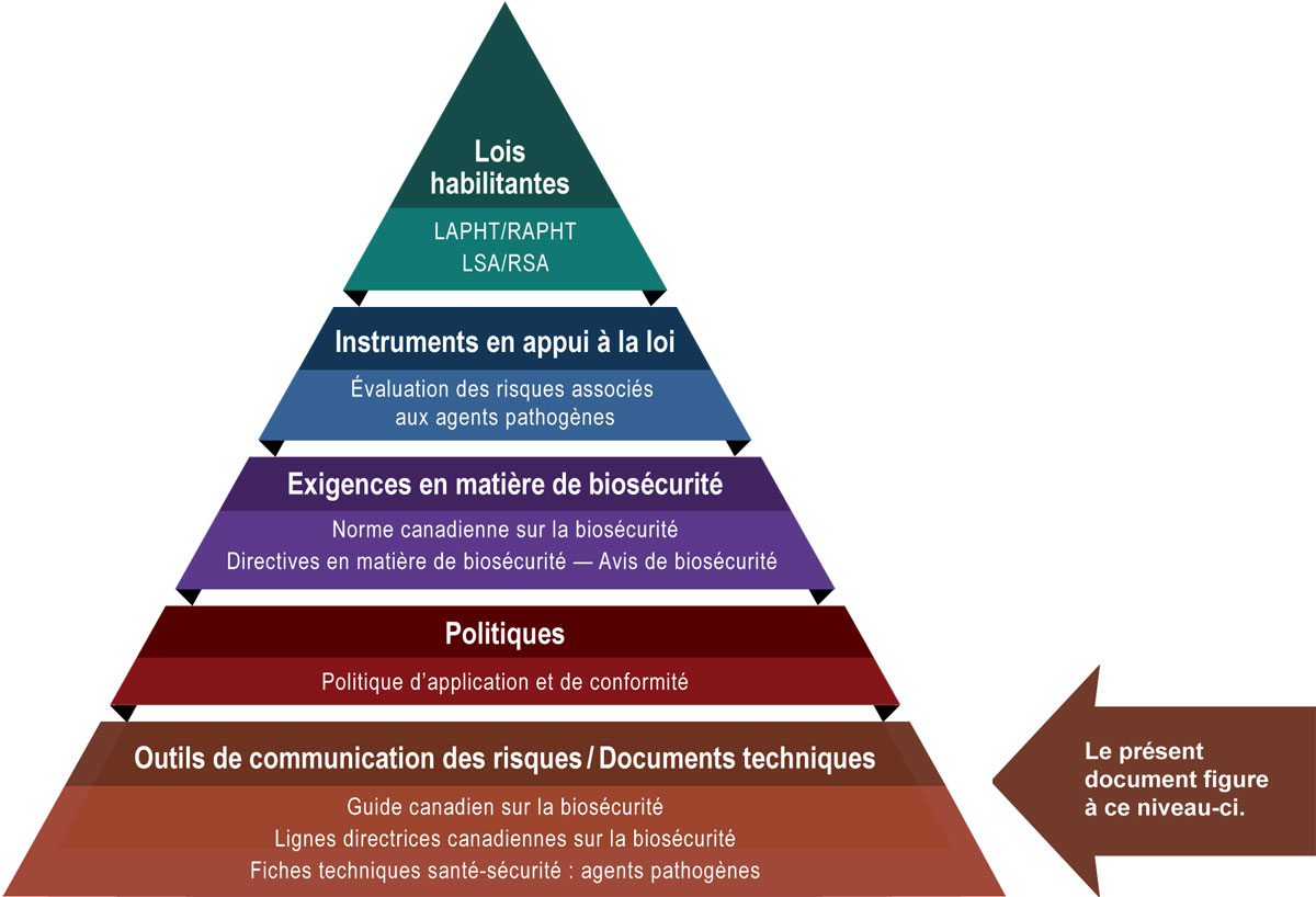 Figure 1&nbsp;: Hiérarchie des documents en matière de biosécurité et de biosûreté du gouvernement du Canada