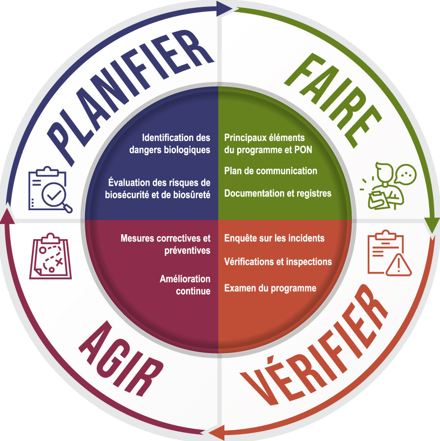 Figure 1-1&nbsp;: Application du cycle Planifier, Faire, Vérifier, Agir à la gestion d'un programme de biosécurité.